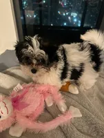 processed/20ce4075-ad17-46e6-9dd5-8123e18f1207/listing/0ee58184-2ca5-4bb7-b469-0b25939ee612/55c83226-6a46-4133-819a-e018a6362b16