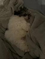 processed/20ce4075-ad17-46e6-9dd5-8123e18f1207/listing/0ee58184-2ca5-4bb7-b469-0b25939ee612/7473a1e8-960a-4527-8c8d-d7c22229efc4