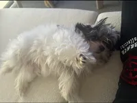 processed/20ce4075-ad17-46e6-9dd5-8123e18f1207/listing/0ee58184-2ca5-4bb7-b469-0b25939ee612/babf738d-b06d-40f9-bee1-9f23f021ef85