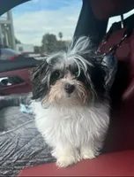 processed/20ce4075-ad17-46e6-9dd5-8123e18f1207/listing/0ee58184-2ca5-4bb7-b469-0b25939ee612/eab092aa-47e9-4fa7-9b5c-89687f6f9df8