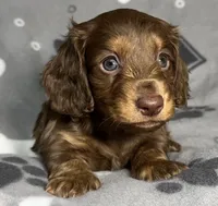 processed/20d196f5-84fd-4f8f-aac9-19669556024a/listing/e856b3ba-3d3a-4188-8956-19f2c17358c5/6c6ba1be-577e-4d71-9e39-3e0935397782