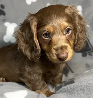 processed/20d196f5-84fd-4f8f-aac9-19669556024a/listing/e856b3ba-3d3a-4188-8956-19f2c17358c5/90e9146a-ff9c-4570-964d-11413bc0f10f