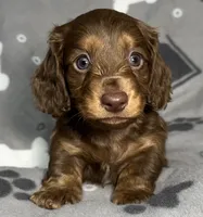 processed/20d196f5-84fd-4f8f-aac9-19669556024a/listing/e856b3ba-3d3a-4188-8956-19f2c17358c5/a88fb2bb-0317-4565-9272-6c0da3450b62