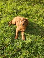 processed/20dd098c-1559-4f0e-a2dd-b3a392958612/listing/b2f8711d-26b1-48ed-bb2c-032d60fd978a/1ce50b22-5630-4fab-9fc9-2013b7c95351