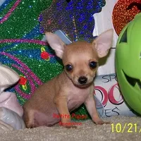 processed/20ec1a99-1db4-4665-914d-1b22571818cf/facility/06e7bdc1-8b03-4663-82bd-dbe834668a7b