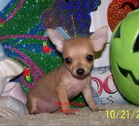 processed/20ec1a99-1db4-4665-914d-1b22571818cf/facility/06e7bdc1-8b03-4663-82bd-dbe834668a7b