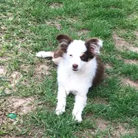 processed/20ec1a99-1db4-4665-914d-1b22571818cf/facility/12b4bd9e-db53-432b-92f2-9527b0fbe6f1