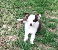 processed/20ec1a99-1db4-4665-914d-1b22571818cf/facility/12b4bd9e-db53-432b-92f2-9527b0fbe6f1