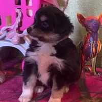 processed/20ec1a99-1db4-4665-914d-1b22571818cf/facility/3997ae94-cc19-473f-91c4-a6ec65458ce5