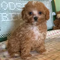 processed/20ec1a99-1db4-4665-914d-1b22571818cf/facility/6d85a951-0583-4f12-94d3-9d8b2d767378