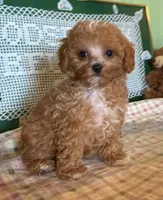 processed/20ec1a99-1db4-4665-914d-1b22571818cf/facility/6d85a951-0583-4f12-94d3-9d8b2d767378