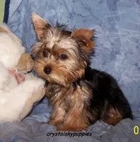 processed/20ec1a99-1db4-4665-914d-1b22571818cf/facility/88a500ff-e6fc-4a1c-a1ea-b4f229cba76a