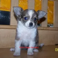 processed/20ec1a99-1db4-4665-914d-1b22571818cf/facility/b995fc26-abd0-4517-9f8f-14ff42d661eb