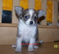 processed/20ec1a99-1db4-4665-914d-1b22571818cf/facility/b995fc26-abd0-4517-9f8f-14ff42d661eb