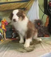 processed/20ec1a99-1db4-4665-914d-1b22571818cf/listing/01895560-c3d3-40a1-94c6-cb2a03d663fd/23700429-f985-4725-8312-0b13fa368ad7