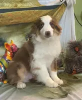 processed/20ec1a99-1db4-4665-914d-1b22571818cf/listing/01895560-c3d3-40a1-94c6-cb2a03d663fd/6d73396a-10f2-48b6-abd9-9d5e9f3b9bf2