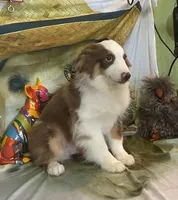 processed/20ec1a99-1db4-4665-914d-1b22571818cf/listing/01895560-c3d3-40a1-94c6-cb2a03d663fd/b255ffc6-8889-4138-b060-08c33cf18bbb