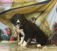 processed/20ec1a99-1db4-4665-914d-1b22571818cf/listing/b20ef2e1-9ac3-4bf1-b093-767de6f4d229/a20bc78c-2289-4383-a1d9-a60deb26ae93