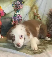 processed/20ec1a99-1db4-4665-914d-1b22571818cf/listing/cae49885-5579-4e84-9d34-9e23c7afa373/20a233d4-a9eb-46b2-9ddf-bd53fb002bcd