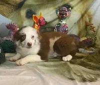 processed/20ec1a99-1db4-4665-914d-1b22571818cf/listing/cae49885-5579-4e84-9d34-9e23c7afa373/8537d336-268a-42cb-b06f-07b35f8279cc