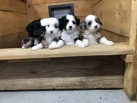 processed/20ec9e61-0fa5-4792-86d1-ee691810d2aa/facility/c0897447-c9ed-4193-badd-0ab06e58bb71