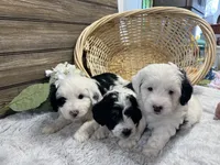 processed/20ec9e61-0fa5-4792-86d1-ee691810d2aa/listing/d30d400b-f3e3-4505-92c2-67ef333496d3/0932523e-e08f-46cf-bf06-577dcbc93a0d