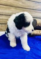 processed/20ec9e61-0fa5-4792-86d1-ee691810d2aa/listing/d30d400b-f3e3-4505-92c2-67ef333496d3/5ff8f968-dc7d-4877-9b54-29ecd607a2c5