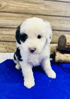 processed/20ec9e61-0fa5-4792-86d1-ee691810d2aa/listing/d30d400b-f3e3-4505-92c2-67ef333496d3/847264a6-9f34-4484-858a-1fee8cf55fd0