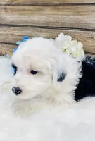 processed/20ec9e61-0fa5-4792-86d1-ee691810d2aa/listing/d30d400b-f3e3-4505-92c2-67ef333496d3/affcfc60-a333-4927-bb58-2890e9c8d694