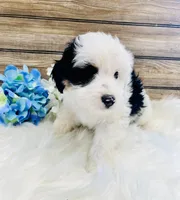 processed/20ec9e61-0fa5-4792-86d1-ee691810d2aa/listing/d30d400b-f3e3-4505-92c2-67ef333496d3/b7274917-7376-4c81-9dc1-a18f58e4f95a