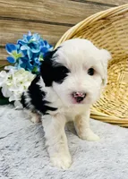 processed/20ec9e61-0fa5-4792-86d1-ee691810d2aa/listing/d30d400b-f3e3-4505-92c2-67ef333496d3/c29d6aa0-9b94-4424-bf22-6d6275a678af