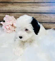 processed/20ec9e61-0fa5-4792-86d1-ee691810d2aa/listing/f04bb0de-cde7-471f-9901-023e630e7d0e/47ca71e3-fe89-42f4-a745-e3a7756727da