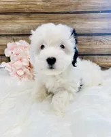 processed/20ec9e61-0fa5-4792-86d1-ee691810d2aa/listing/f04bb0de-cde7-471f-9901-023e630e7d0e/5e3972a0-6f36-4060-8e70-e6336016b090