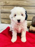 processed/20ec9e61-0fa5-4792-86d1-ee691810d2aa/listing/f04bb0de-cde7-471f-9901-023e630e7d0e/8144f011-ed44-46ca-ada3-62a0313b0cfc