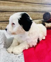 processed/20ec9e61-0fa5-4792-86d1-ee691810d2aa/listing/f04bb0de-cde7-471f-9901-023e630e7d0e/8ee23582-ca4f-498f-8b25-c7a6a4c826bf