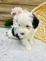 processed/20ec9e61-0fa5-4792-86d1-ee691810d2aa/listing/f04bb0de-cde7-471f-9901-023e630e7d0e/b353a261-89b1-4a98-8a0c-7c49295ccc1f