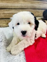 processed/20ec9e61-0fa5-4792-86d1-ee691810d2aa/listing/f04bb0de-cde7-471f-9901-023e630e7d0e/c4508dd4-e0de-40b3-8a14-0cfd995f6bec