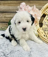 processed/20ec9e61-0fa5-4792-86d1-ee691810d2aa/listing/f04bb0de-cde7-471f-9901-023e630e7d0e/c8284675-6adc-4845-9b04-4698e9a1e80f