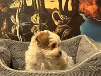 processed/20ee1b19-6875-4ec6-87a3-b80eff2eec68/listing/0ff61f75-4bcc-44c6-8549-6b17d521c166/0addba94-e8c9-43ae-970d-9e533f3f3a40