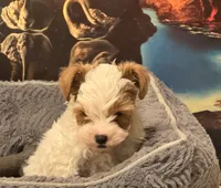 processed/20ee1b19-6875-4ec6-87a3-b80eff2eec68/listing/0ff61f75-4bcc-44c6-8549-6b17d521c166/5315c80c-1c6e-40ee-8b4c-680bc0630dc6