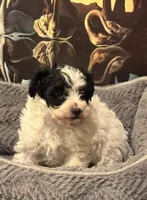 processed/20ee1b19-6875-4ec6-87a3-b80eff2eec68/listing/c59a0386-42ed-4c5b-895a-a13fa8f0e662/5989ac63-cac4-4c88-925a-67e43f31ac1e