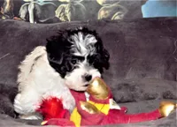 processed/20ee1b19-6875-4ec6-87a3-b80eff2eec68/listing/c8e2ec84-6f0f-435d-b2ee-833a618b3543/b4653012-0633-4244-8b2b-fc0b0872fbbd