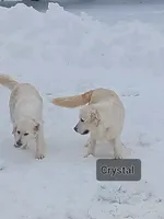 processed/20f041f7-67d3-4192-802c-6e5d523e2321/listing/4fff03c3-7a3d-4ad8-ab96-3585b3517021/107252c5-4376-44c2-adb4-db776aa93758