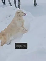 processed/20f041f7-67d3-4192-802c-6e5d523e2321/listing/4fff03c3-7a3d-4ad8-ab96-3585b3517021/91d7a164-8a2b-4846-ae0d-52df7f645df2