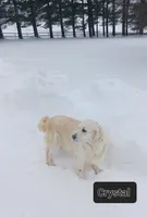 processed/20f041f7-67d3-4192-802c-6e5d523e2321/listing/4fff03c3-7a3d-4ad8-ab96-3585b3517021/a4dc15c4-9a40-4a73-a6da-22970734e7ac