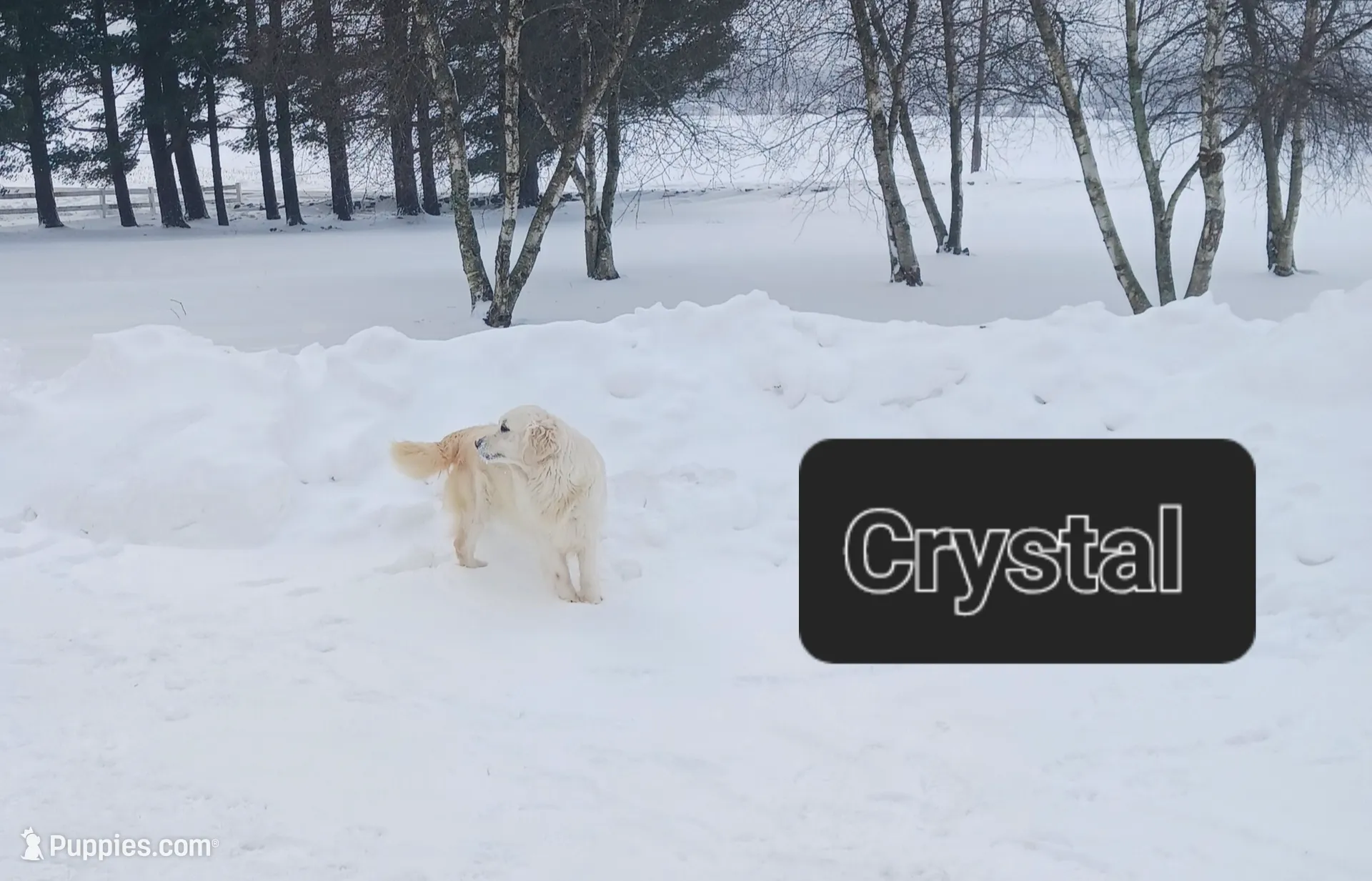 processed/20f041f7-67d3-4192-802c-6e5d523e2321/listing/4fff03c3-7a3d-4ad8-ab96-3585b3517021/b8d70776-6ca1-468b-b002-cc8d65bbe7a3