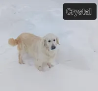 processed/20f041f7-67d3-4192-802c-6e5d523e2321/listing/4fff03c3-7a3d-4ad8-ab96-3585b3517021/c8dcd76f-b978-44b4-958c-e0f098dae703