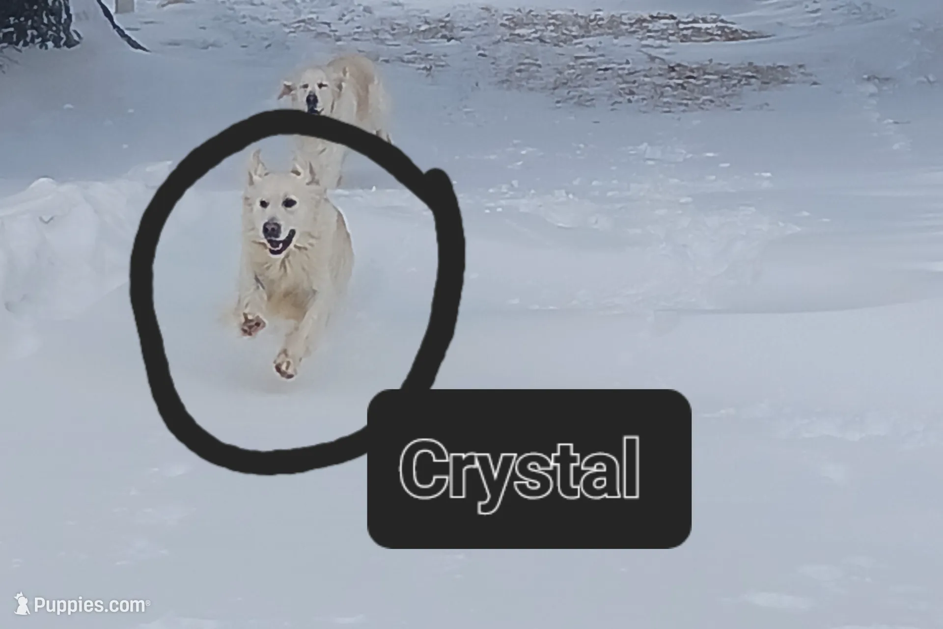 processed/20f041f7-67d3-4192-802c-6e5d523e2321/listing/4fff03c3-7a3d-4ad8-ab96-3585b3517021/d78a04b3-4c5e-4593-985d-2391df1ef3a8