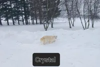 processed/20f041f7-67d3-4192-802c-6e5d523e2321/listing/4fff03c3-7a3d-4ad8-ab96-3585b3517021/d9e887b7-b49e-403d-bf4c-527ed77ad96a