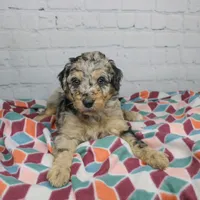 processed/20f57480-2efe-45a3-bcbb-58fa08c693ae/facility/3f627bcc-b12b-42df-812f-03036919f0bc